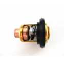 Termostato - 25HP / 30HP