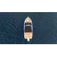 Lancha Triton 250 Open