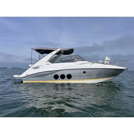 Lancha Brava 308 2011