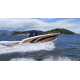 Lancha Triton 34 Flyer HT Outboard